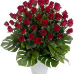 50 rose rosse medie a Roma