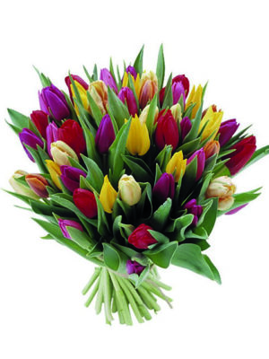 Bouquet di tulipani dai colori misti a Roma