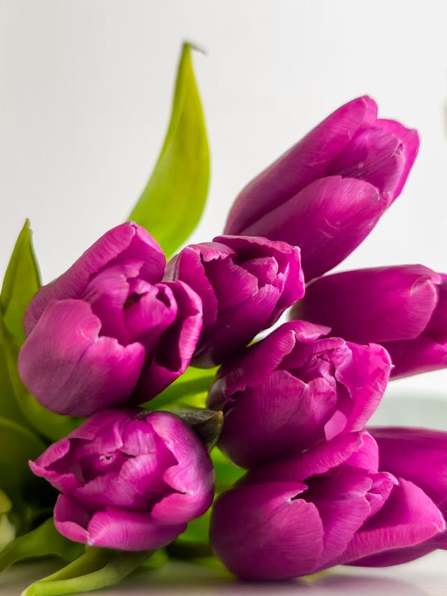 bouquet di fiori per laurea