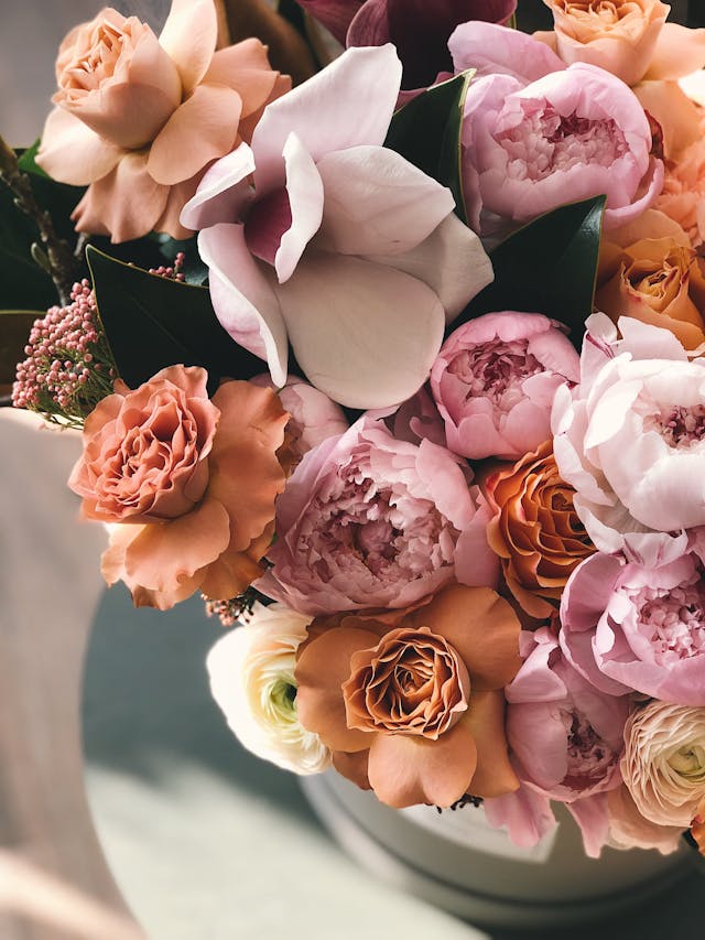 varietà di fiori