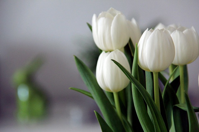 quali sono i nomi dei fiori più belli